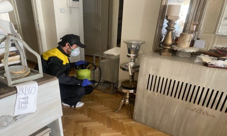 از بین بردن کنه با سمپاشی تضمینی زودکُش در استان تهران و کرج