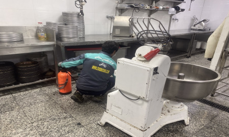 کنترل و دفع سوسک از رستوران ها