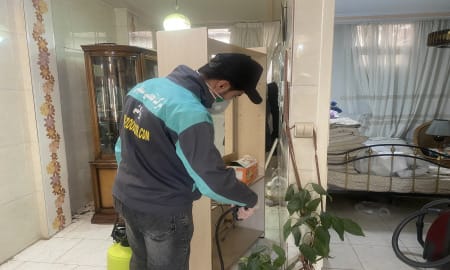 آشنایی با سوسک چوب یا سوسک مبلمان 4 ریشه کنی حشرات چوبخوار با سمپاشی سوسک چوب توسط شرکت زودکُش