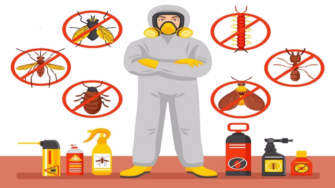 خطرات استفاده از سم خانگی برای از بین بردن سوسک