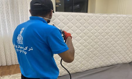 خطرات استفاده از سم خانگی برای از بین بردن سوسک 4 سمپاشی ایمن منازل مسکونی تهران و کرج با سموم مجاز وزارت بهداشت