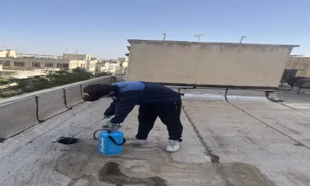 سمپاشی در غرب تهران؛ راهکار حرفه ای برای ریشه کنی آفات خانگی و صنعتی 3 خدمات حرفه ای و تخصصی سمپاشی در غرب تهران