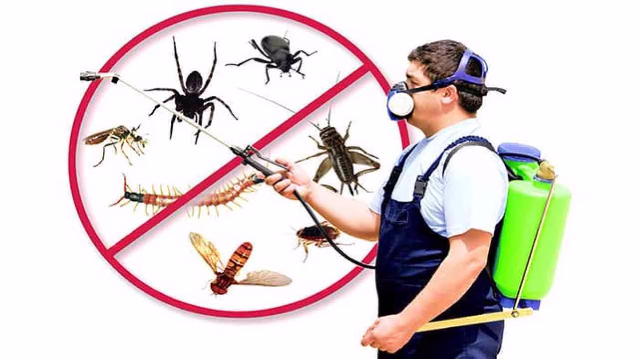 سمپاشی در غرب تهران؛ راهکار حرفه ای برای ریشه کنی آفات خانگی و صنعتی