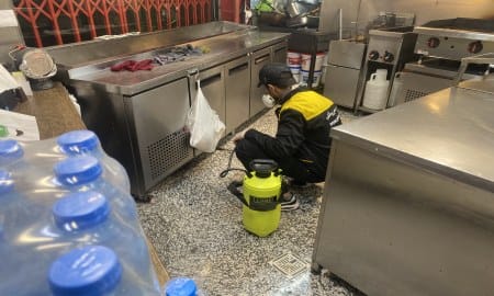 سمپاشی شبانه در تهران؛ خدمات بدون مزاحمت برای کسب و کارها و منازل 3 برترین شرکت سمپاشی شبانه رستوران های تهران