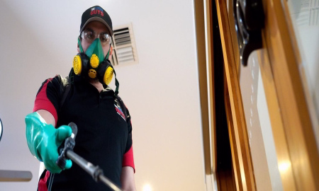 قیمت سمپاشی اصولی و استاندارد با گارانتی معتبر؛ چرا ارزانترین انتخاب، بهترین نیست؟ 4 تیم زودکُش ارائه دهنده بهترین قیمت سمپاشی و گارانتی سمپاشی علمی و استاندارد