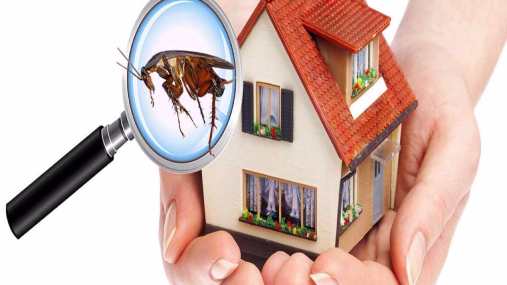 قیمت سمپاشی اصولی و استاندارد با گارانتی معتبر؛ چرا ارزانترین انتخاب، بهترین نیست؟
