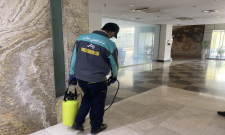 سمپاشی جنوب تهران | خدمات تخصصی با زودکُش 5 حذف کامل حشرات موذی با سمپاشی جنوب تهران