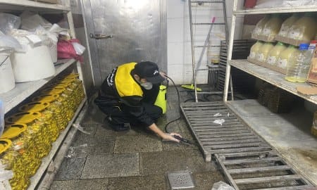 سمپاشی آفات انباری؛ راهکار قطعی ریشه کنی سوسک حبوبات، حشره برنج و سایر آفات خانگی 4 ریشه کنی سوسک حبوبات و غلات با سمپاشی آفات انباری در تهران