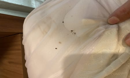 حذف کامل ساس تختخواب منازل با سمپاشی شرق تهران توسط تیم حرفه ای کنترل آفات زودکُش