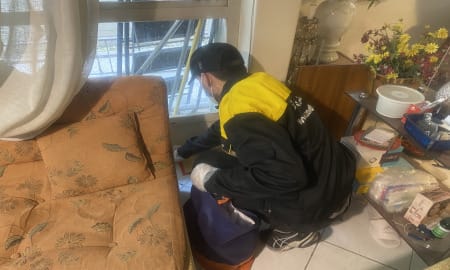 Mouse control in residential homes in eastern Tehran