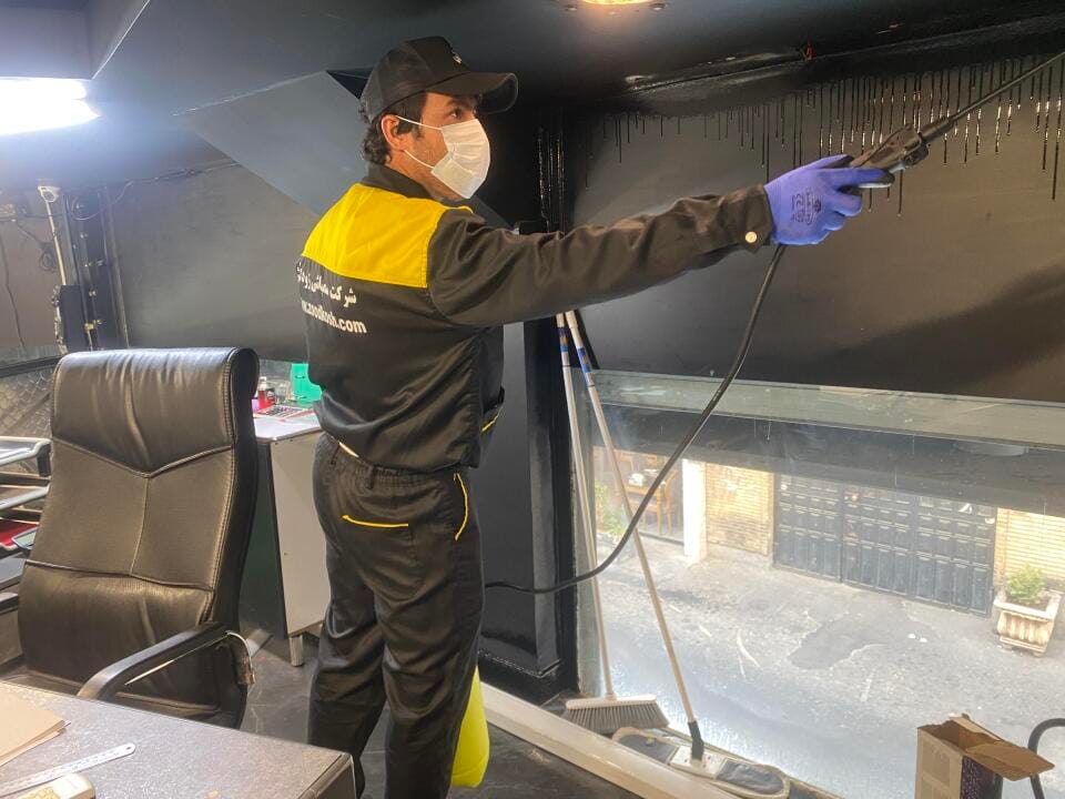 حشرات و جانوران موذی از کجا وارد خانه می شوند؟