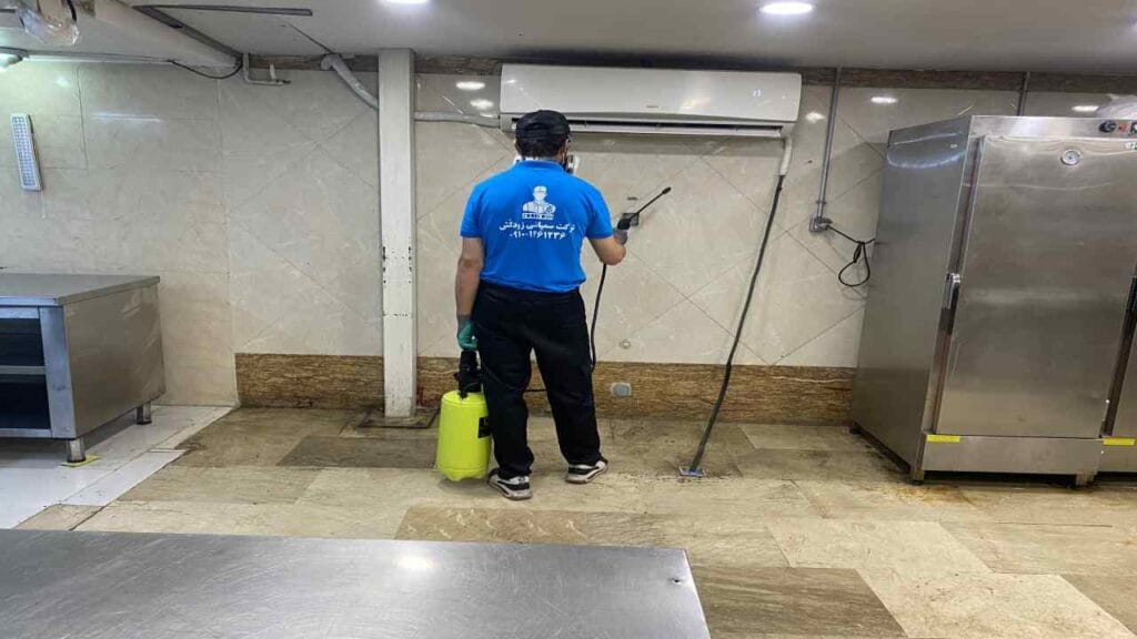 بهترین سم برای سوسک ریز چیست؟ معرفی قوی‌ ترین روش از بین بردن سوسک آلمانی