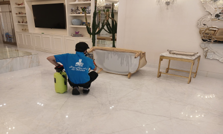 آماده سازی قبل از سمپاشی؛ چه کارهایی باید انجام دهیم؟ 5 pest control using safe agents and adherence to safety protocols
